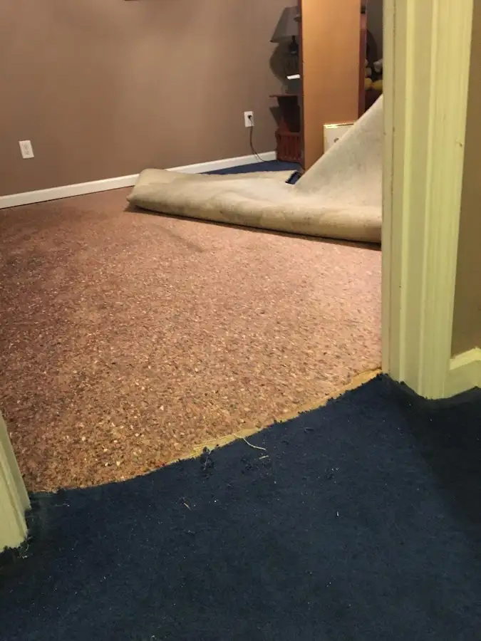 Carpet pad removal revealing water damage during Water Mitigation Services in Healdsburg
