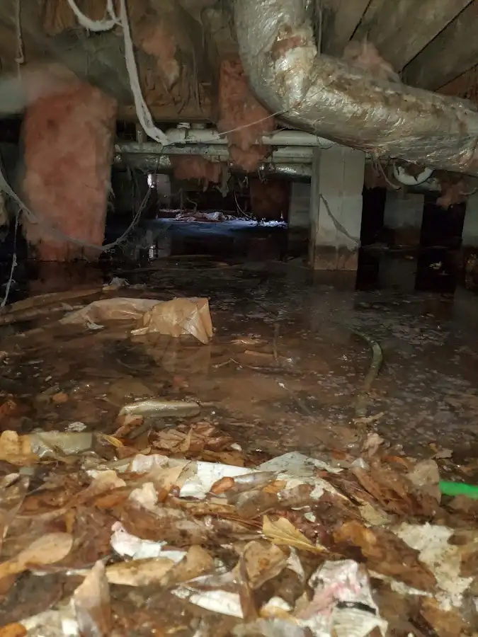 Crawl space flood assessment for Commercial Water Damage Restoration in Healdsburg