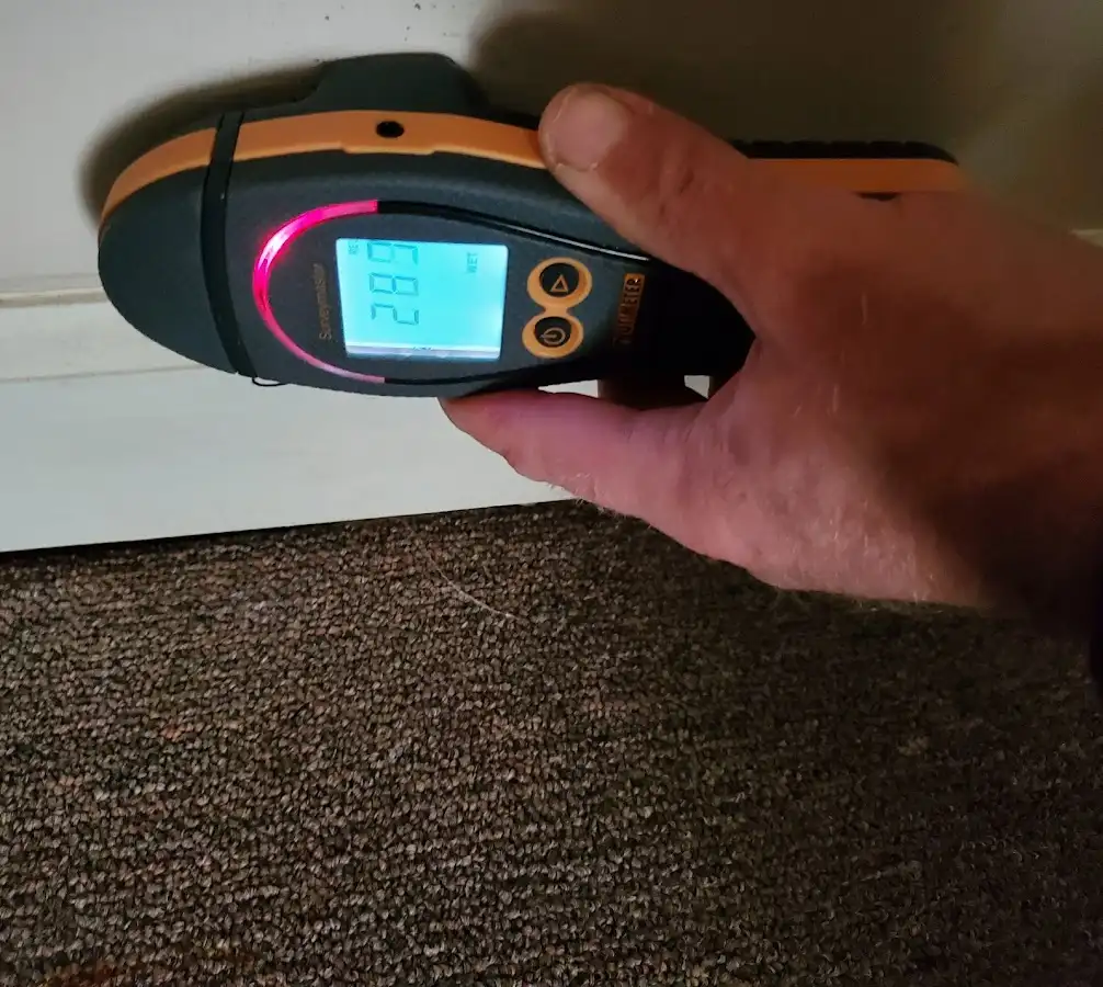 Moisture detection at baseboard during Sewage Cleanup & Sanitation in Healdsburg